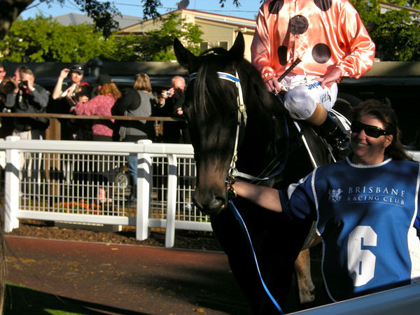Black Caviar goes out on top