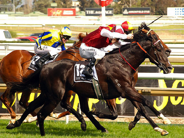 Caulfield Cup preview