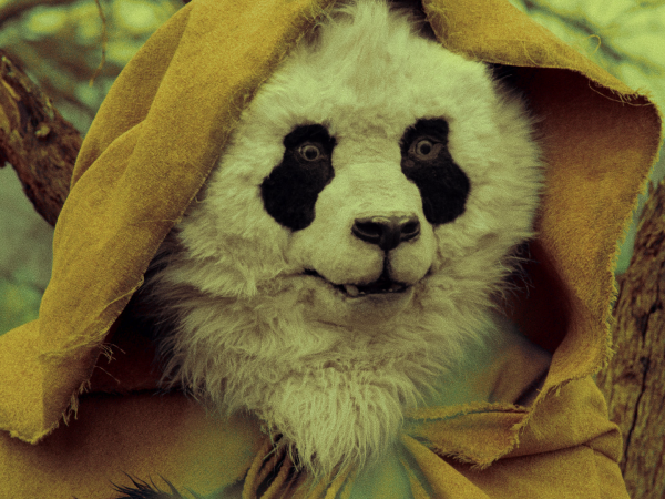 Melbourne WebFest 2015: Wastelander Panda: Exile (AUS)