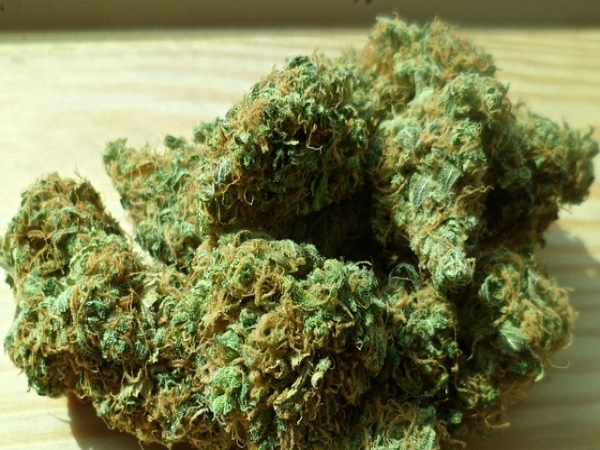 A case for cannabis