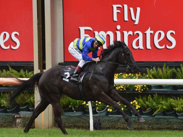 Part two: Spring Racing preview
