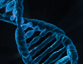 DNA repair discovery could reverse ageing