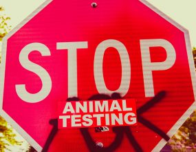 The fight to ban animal testing.