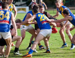 Axing the VFL Development League one year on