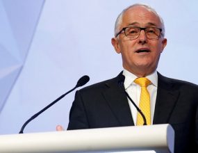 Politicians respond to Turnbull’s High Court tweet