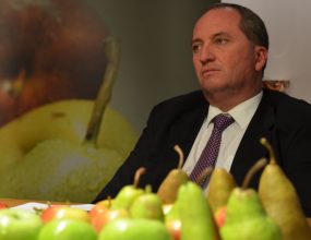 Explainer: Why is Barnaby Joyce back in the news?
