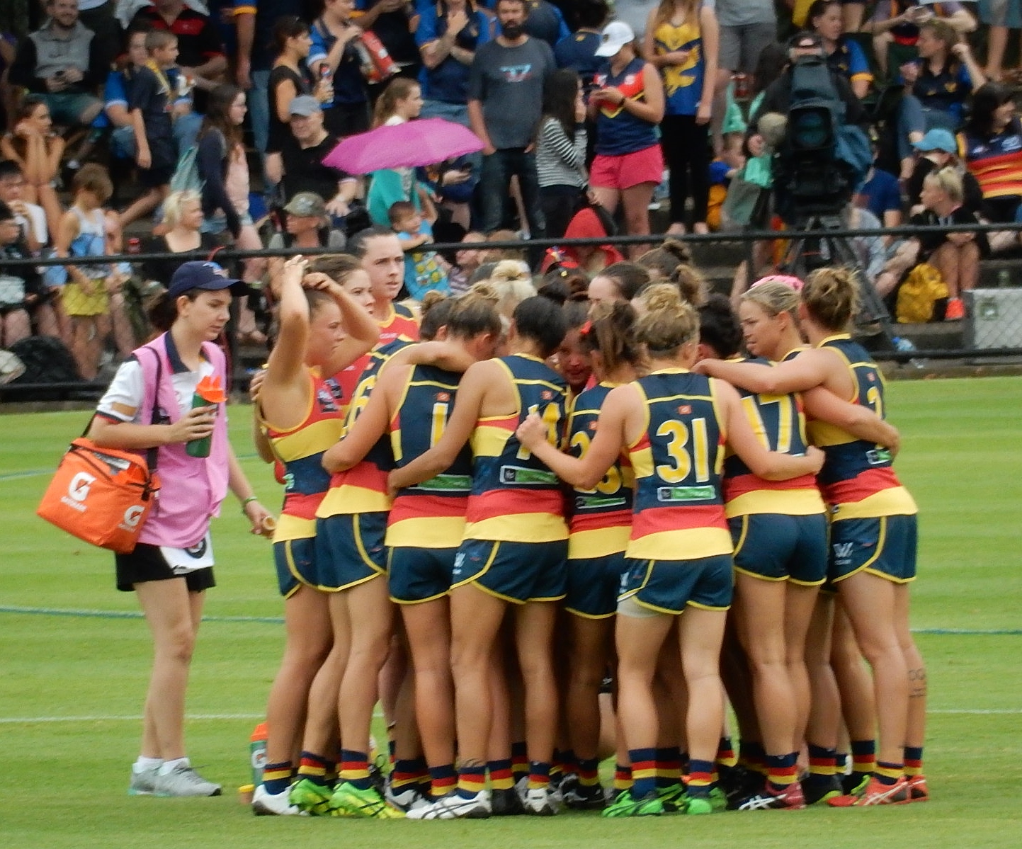 AFLW players and professionalisation