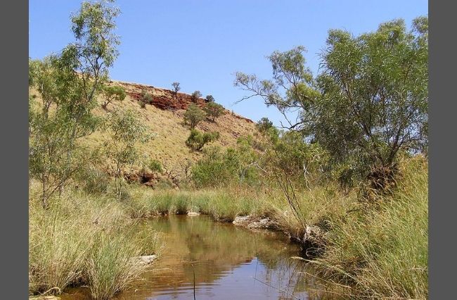 46,000-year-old site destroyed in WA
