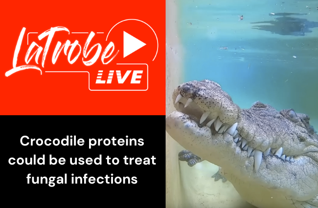 Crocodile proteins may treat fungal infections